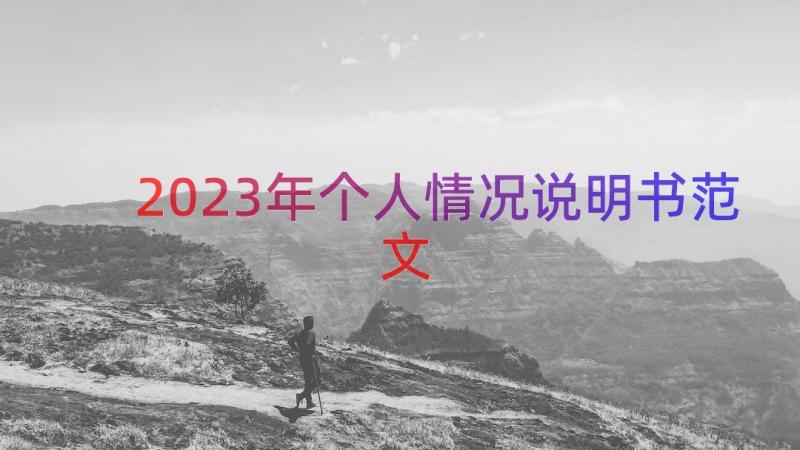 2023年个人情况说明书范文（18篇）