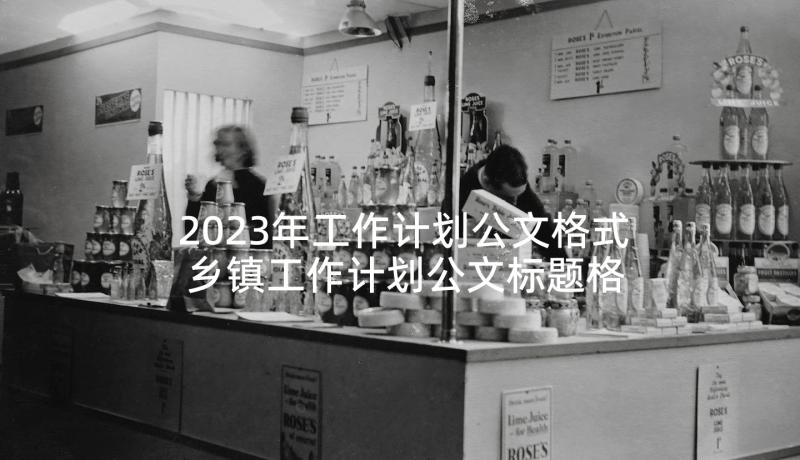 2023年工作计划公文格式 乡镇工作计划公文标题格式(优秀5篇)