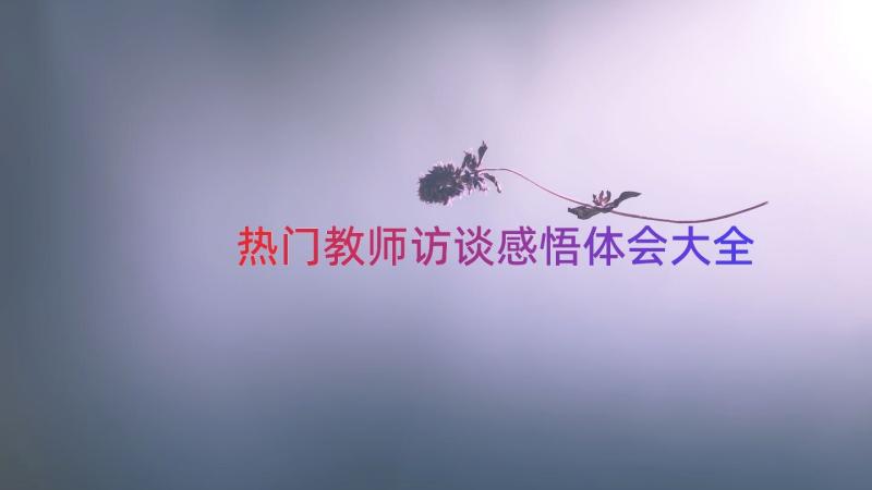 热门教师访谈感悟体会大全（16篇）