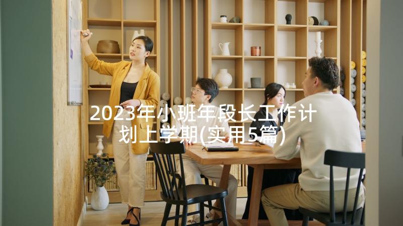 2023年小班年段长工作计划上学期(实用5篇)