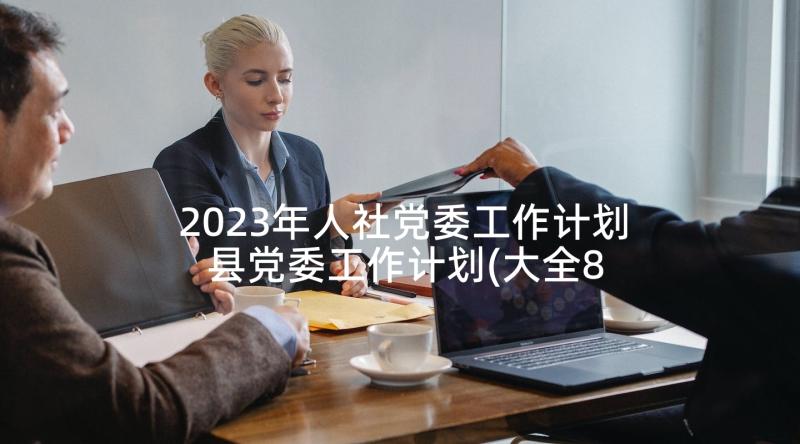 2023年人社党委工作计划 县党委工作计划(大全8篇)