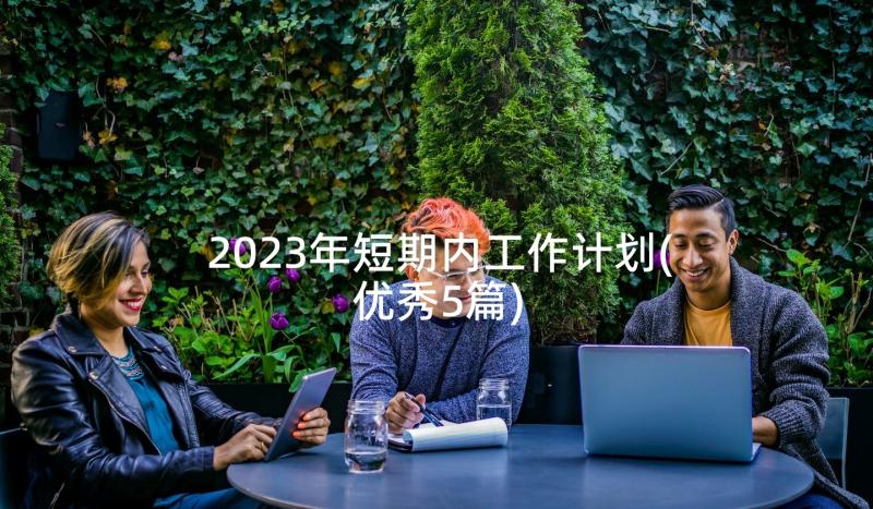 2023年短期内工作计划(优秀5篇)