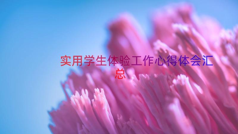 实用学生体验工作心得体会（汇总12篇）