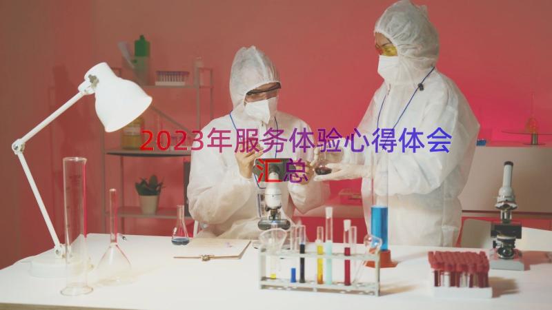 2023年服务体验心得体会（汇总15篇）