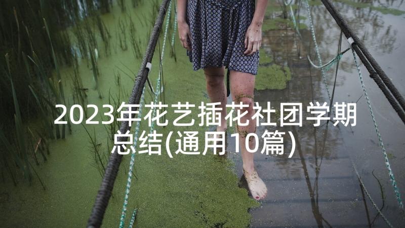 2023年花艺插花社团学期总结(通用10篇)