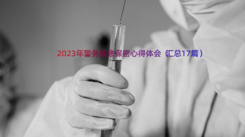 2023年警务信息保密心得体会（汇总17篇）