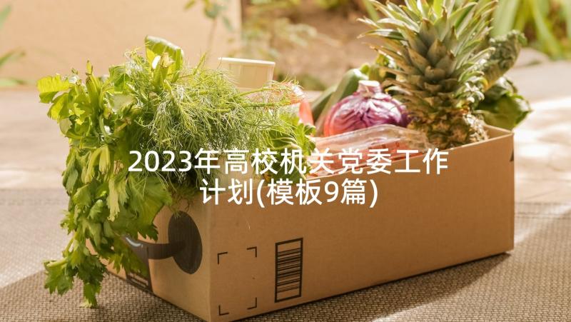 2023年高校机关党委工作计划(模板9篇)