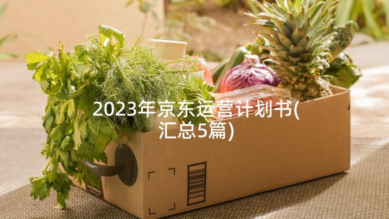 2023年京东运营计划书(汇总5篇)