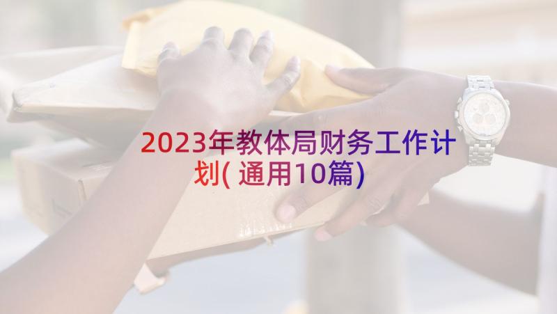 2023年教体局财务工作计划(通用10篇)
