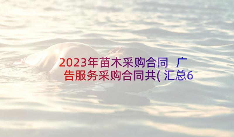 2023年苗木采购合同 广告服务采购合同共(汇总6篇)