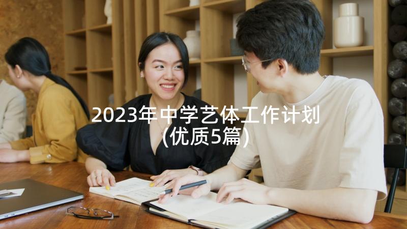 2023年中学艺体工作计划(优质5篇)