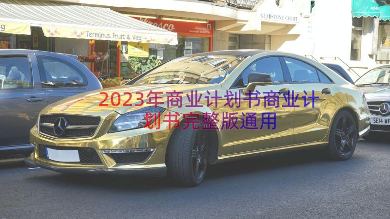 2023年商业计划书商业计划书完整版（通用12篇）