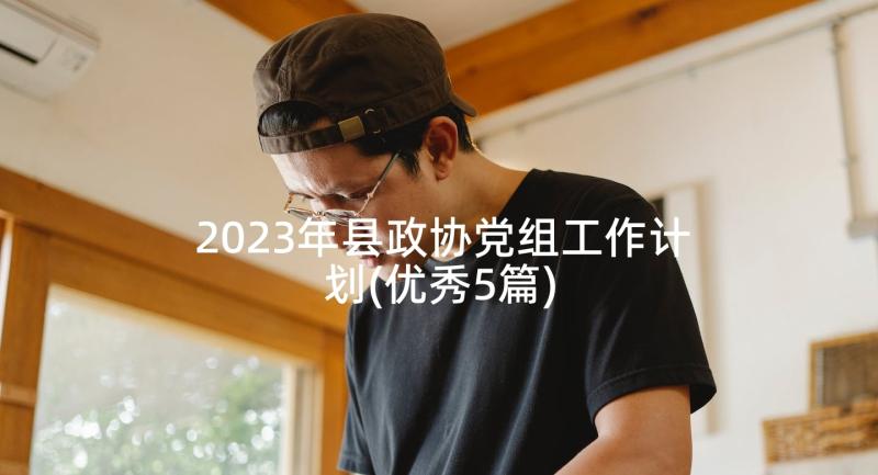 2023年县政协党组工作计划(优秀5篇)