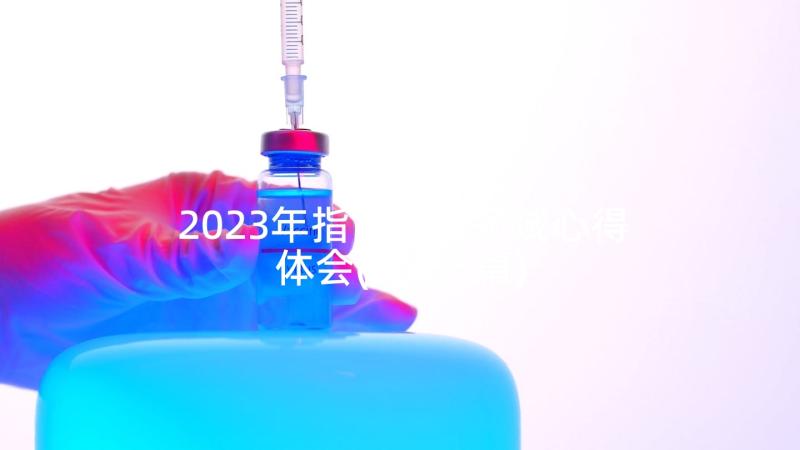 2023年指南健康领域心得体会(大全5篇)