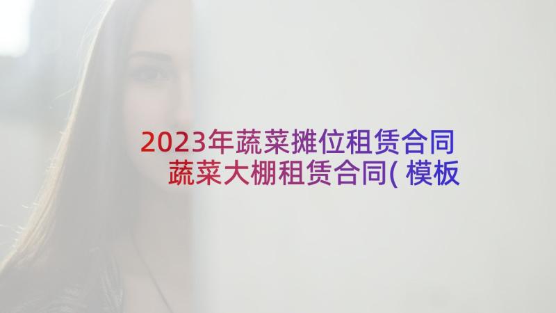 2023年蔬菜摊位租赁合同 蔬菜大棚租赁合同(模板7篇)