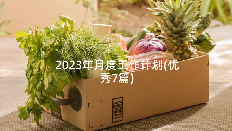 2023年月度工作计划(优秀7篇)