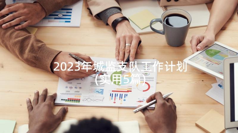 2023年城监支队工作计划(实用5篇)