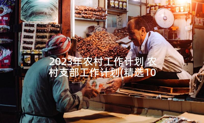 2023年农村工作计划 农村支部工作计划(精选10篇)