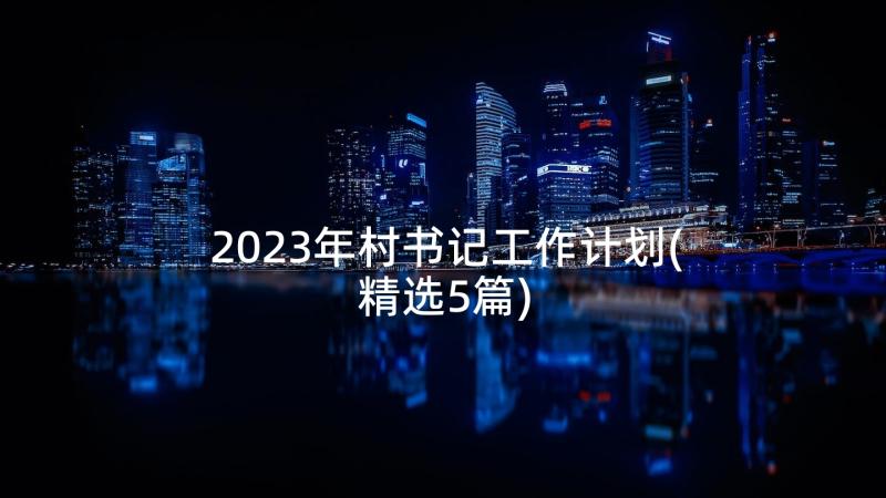 2023年村书记工作计划(精选5篇)