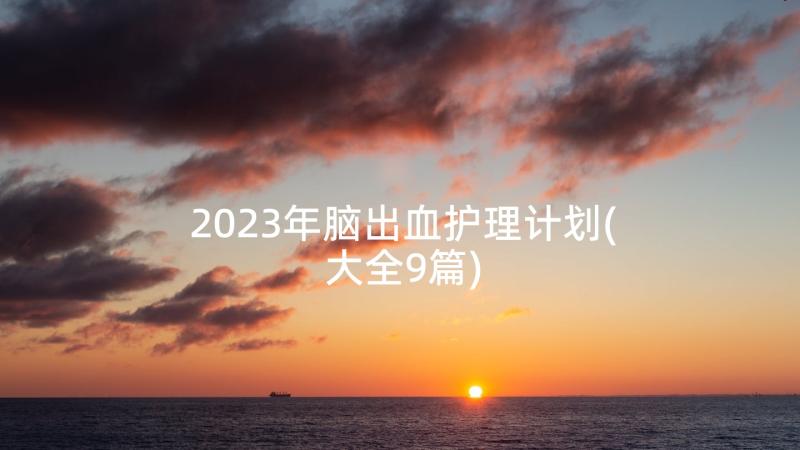 2023年脑出血护理计划(大全9篇)