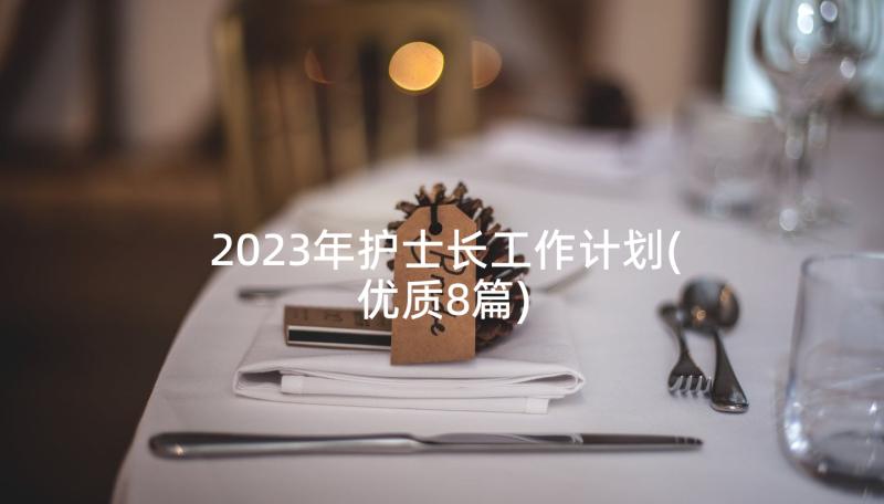 2023年护士长工作计划(优质8篇)