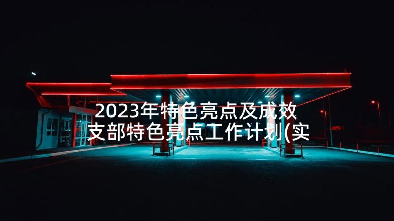 2023年特色亮点及成效 支部特色亮点工作计划(实用6篇)