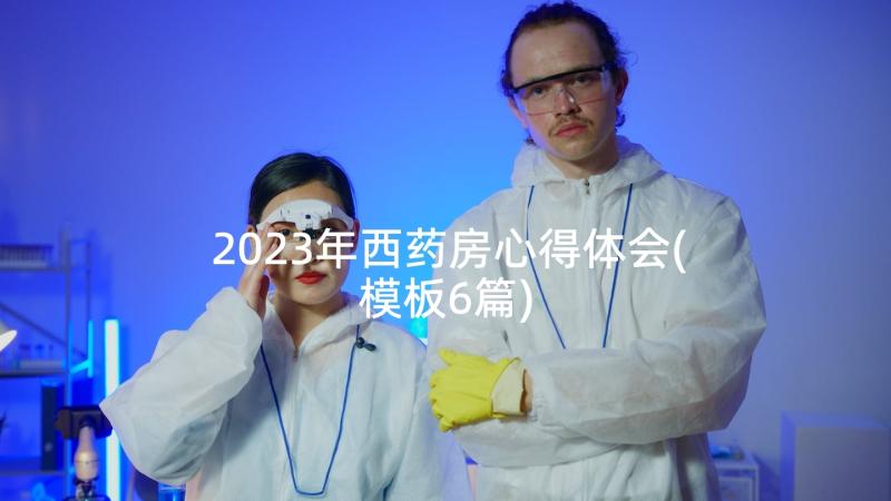 2023年西药房心得体会(模板6篇)