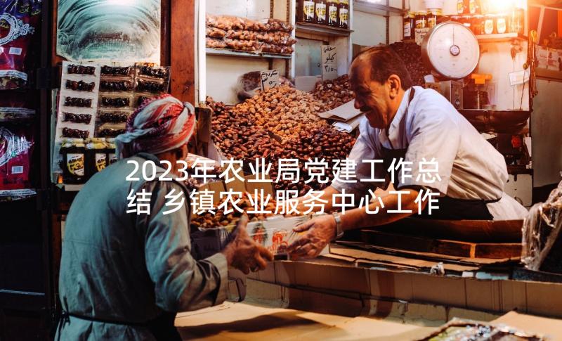 2023年农业局党建工作总结 乡镇农业服务中心工作计划(优秀5篇)