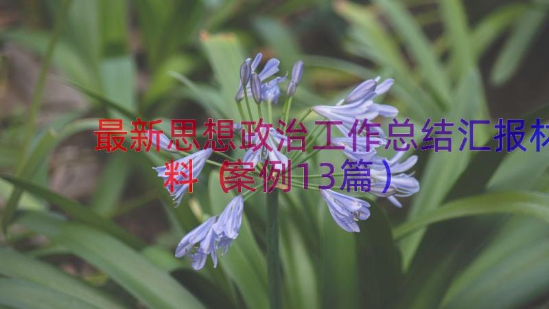 最新思想政治工作总结汇报材料（案例13篇）