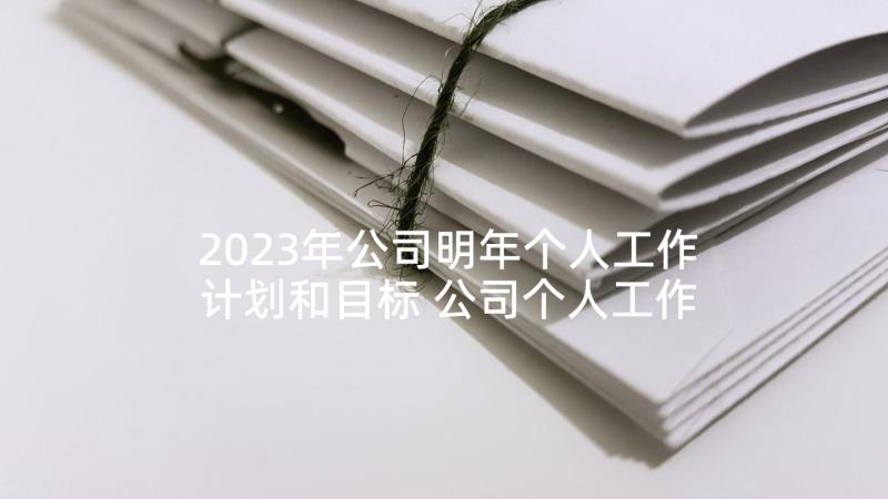 2023年公司明年个人工作计划和目标 公司个人工作计划(精选5篇)