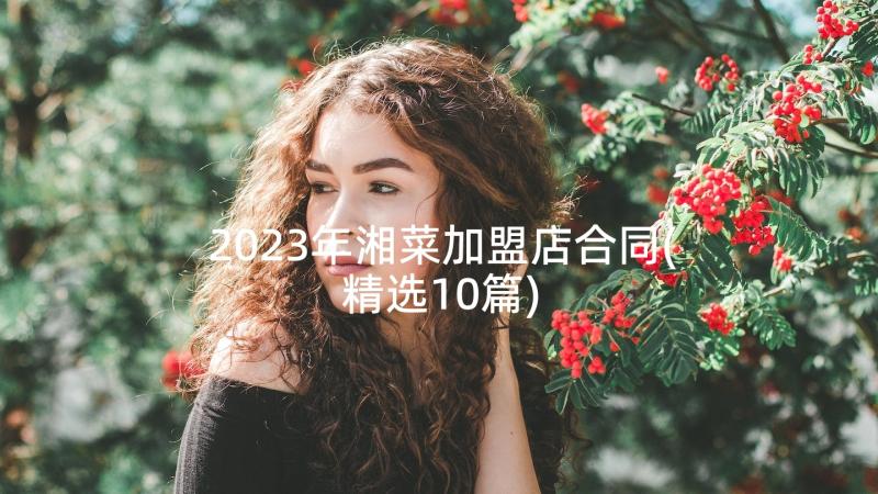 2023年湘菜加盟店合同(精选10篇)