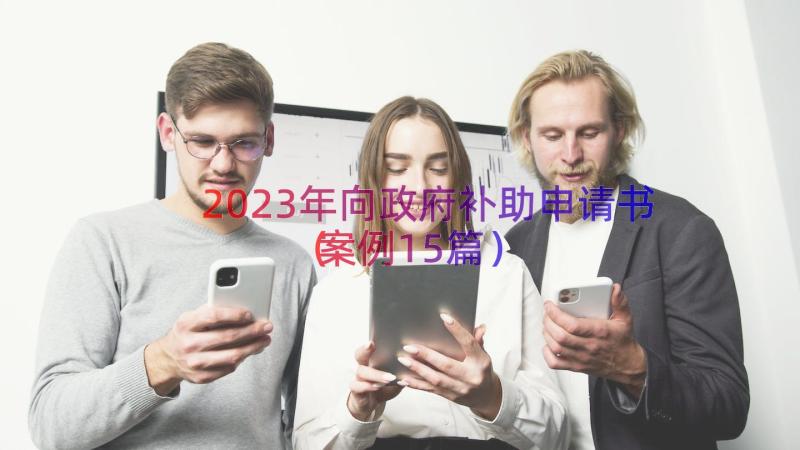 2023年向政府补助申请书（案例15篇）