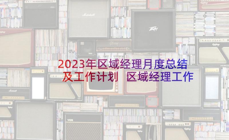 2023年区域经理月度总结及工作计划 区域经理工作计划(精选5篇)