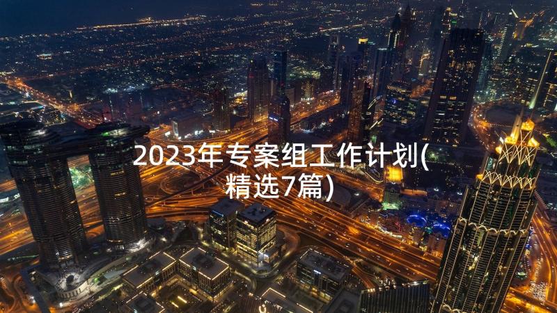 2023年专案组工作计划(精选7篇)