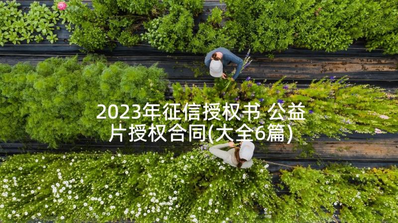 2023年征信授权书 公益片授权合同(大全6篇)
