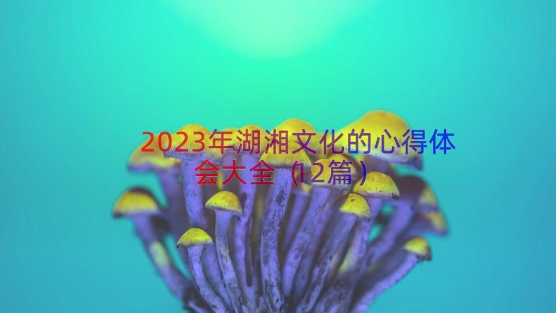 2023年湖湘文化的心得体会大全（12篇）