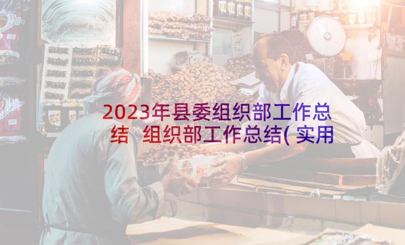 2023年县委组织部工作总结 组织部工作总结(实用8篇)