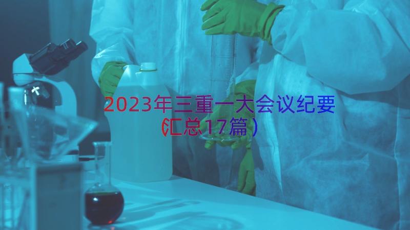 2023年三重一大会议纪要（汇总17篇）