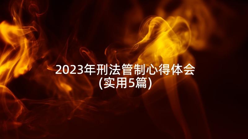 2023年刑法管制心得体会(实用5篇)
