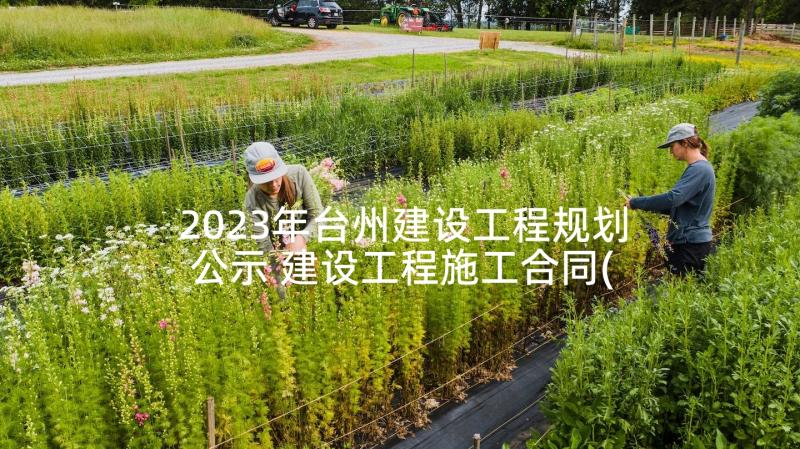 2023年台州建设工程规划公示 建设工程施工合同(模板5篇)