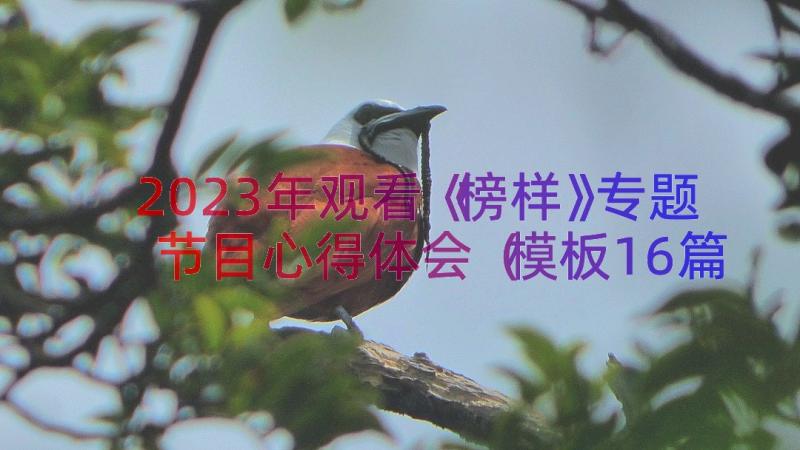 2023年观看《榜样》专题节目心得体会（模板16篇）