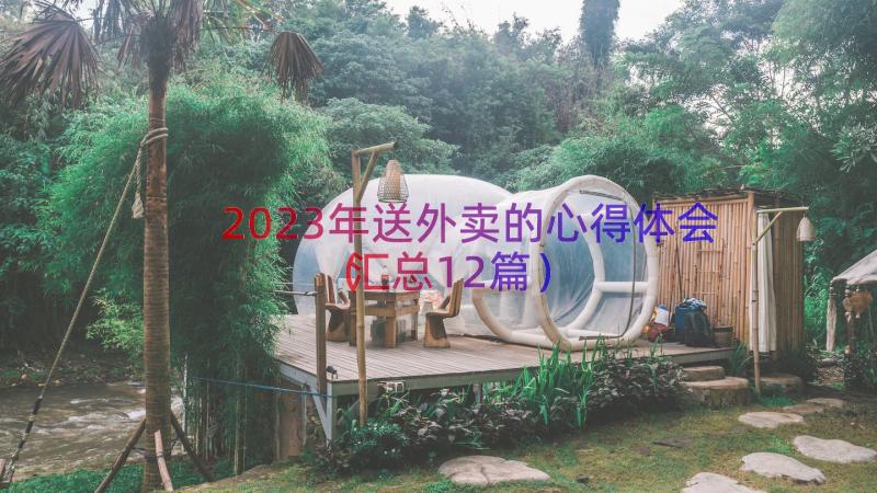 2023年送外卖的心得体会（汇总12篇）