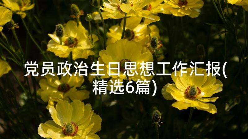 党员政治生日思想工作汇报(精选6篇)