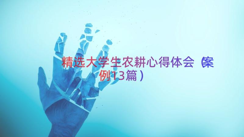 精选大学生农耕心得体会（案例13篇）