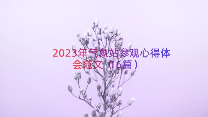 2023年气象站参观心得体会范文（16篇）