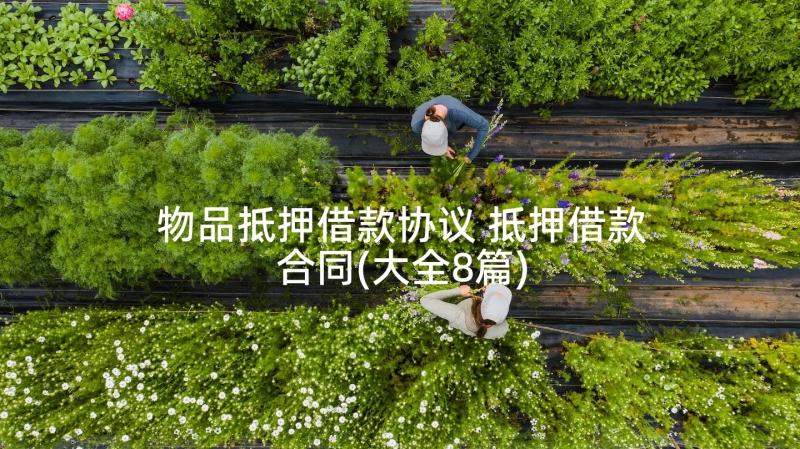 物品抵押借款协议 抵押借款合同(大全8篇)