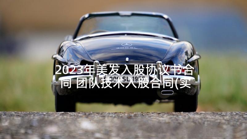 2023年美发入股协议书合同 团队技术入股合同(实用5篇)