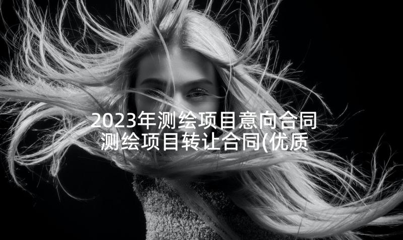 2023年测绘项目意向合同 测绘项目转让合同(优质5篇)