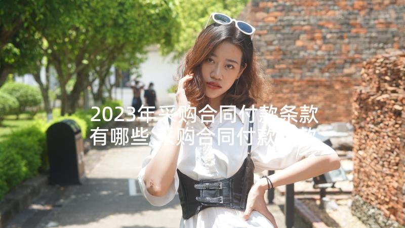 2023年采购合同付款条款有哪些 采购合同付款条款优选(精选5篇)