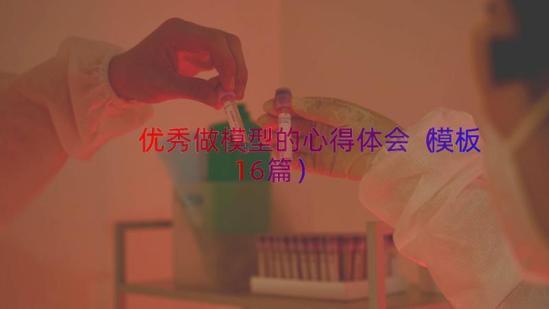 优秀做模型的心得体会（模板16篇）